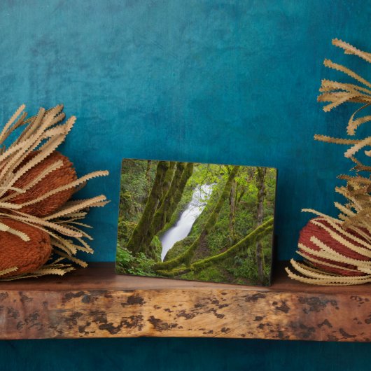 ブライダルベール滝 フォトプラーク (側面)