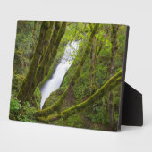 ブライダルベール滝 フォトプラーク (側面)