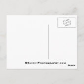 ブライダルベール滝 ポストカード (裏面)