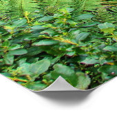 ブライダルベール滝, NZ ポスター (角)