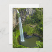 ブライダルベール秋,ニュージーランド ポストカード (正面/裏面)