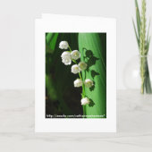 ブライダルランチョンリリリユオブザバレー 招待状 (裏面)