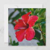 ブライダルルンチョン熱かわいらし帯花 招待状 (裏面)