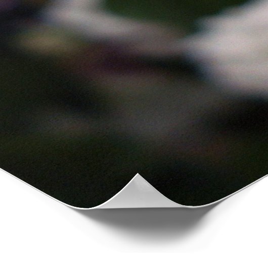 ブライダル花 ポスター (角)