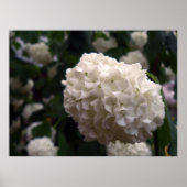ブライダル花 ポスター (正面)