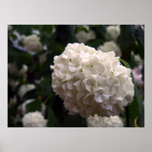 ブライダル花 ポスター (正面)