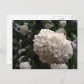 ブライダル花 ポストカード (正面/裏面)