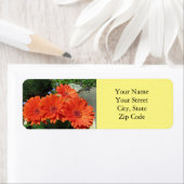 ブライトかわいらしオレンジゲルベラデイジーフォトイエロー ラベル (インサイチュ)