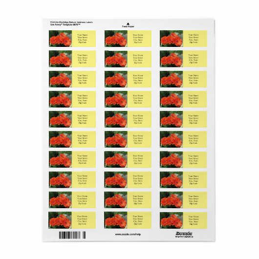 ブライトかわいらしオレンジゲルベラデイジーフォトイエロー ラベル (フルシート)