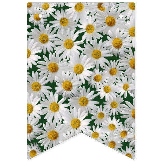 ブライトかわいらしデイジーハッピーバースデー バンティングフラッグ (第1の旗)