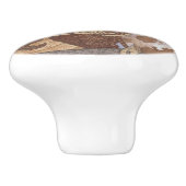 ブライトアイズフクロウ&ドラゴン セラミックノブ (側面)