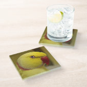 ブライトイエロールティーノインディアンリンネックパロット ガラスコースター (アングル)