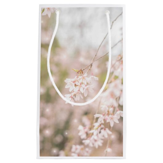 ブライトウィーピングさくらんぼキラキラ スモールペーパーバッグ (正面)