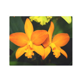 ブライトオレンジオーキッドメタルウォールアート メタルプリント