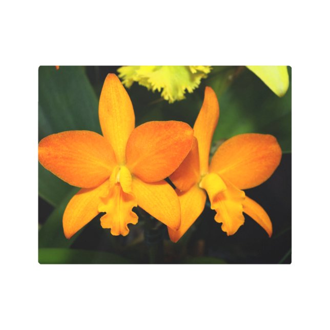 ブライトオレンジオーキッドメタルウォールアート メタルプリント (正面)