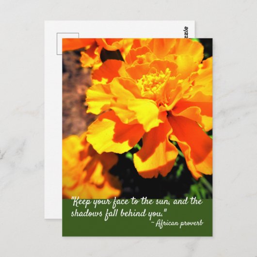 ブライトオレンジマリゴールズフ活気づけるラワーズ引用文 ポストカード (正面/裏面)
