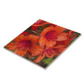 ブライトオレンジロードデンドロン開花フローラ タイル (側面)