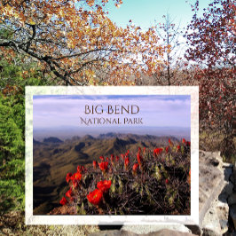 ブライトクラレットカップサボテンの花、ビッグベンドNP、TX ポストカード