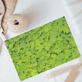 ブライトグリーンシャームロックフローラ 薄葉紙