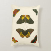 ブライトバタフライバイピエータークラマー アクセントクッション (裏面(縦))