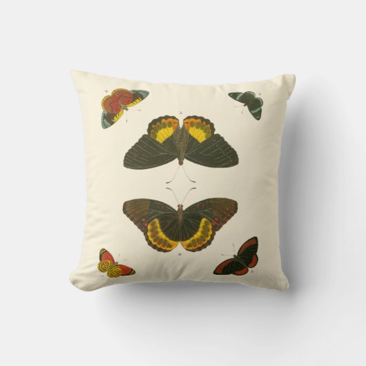 ブライトバタフライバイピエータークラマー クッション (正面)