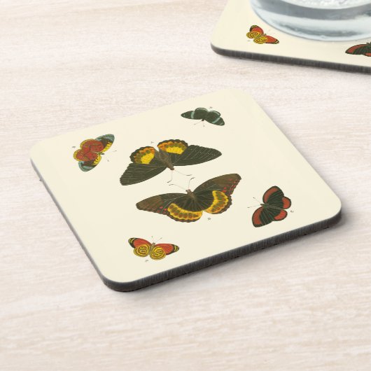 ブライトバタフライバイピエータークラマー コースター (左側)