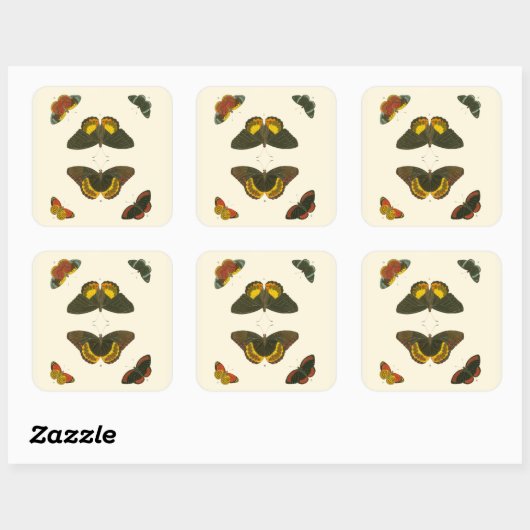 ブライトバタフライバイピエータークラマー スクエアシール (シート)