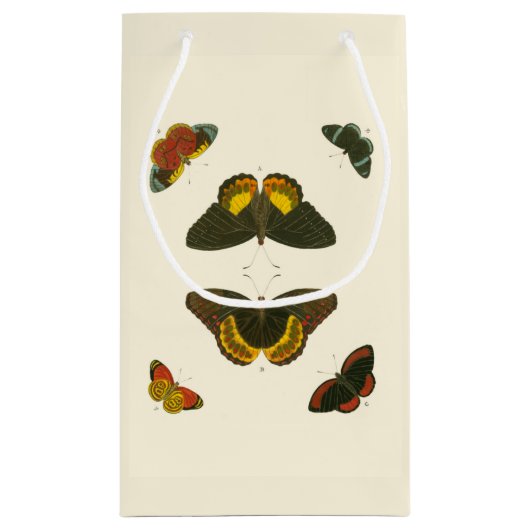 ブライトバタフライバイピエータークラマー スモールペーパーバッグ (裏面)