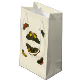 ブライトバタフライバイピエータークラマー スモールペーパーバッグ (裏面アングル)