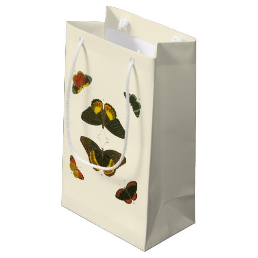 ブライトバタフライバイピエータークラマー スモールペーパーバッグ (裏面アングル)