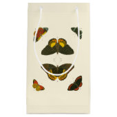 ブライトバタフライバイピエータークラマー スモールペーパーバッグ (正面)