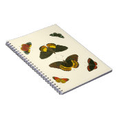 ブライトバタフライバイピエータークラマー ノートブック (右側)