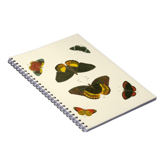 ブライトバタフライバイピエータークラマー ノートブック (右側)