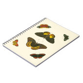 ブライトバタフライバイピエータークラマー ノートブック (左側)