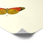 ブライトバタフライバイピエータークラマー ポスター (角)