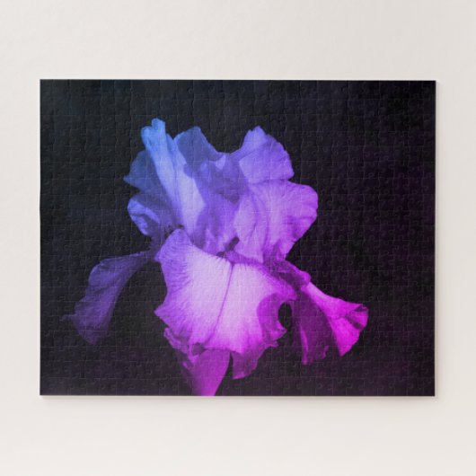 ブライトパープルアイリスフォトパズル ジグソーパズル (横)