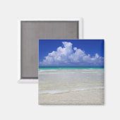 ブライトビーチ マグネット (正面/裏面)