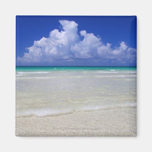 ブライトビーチ マグネット (正面)