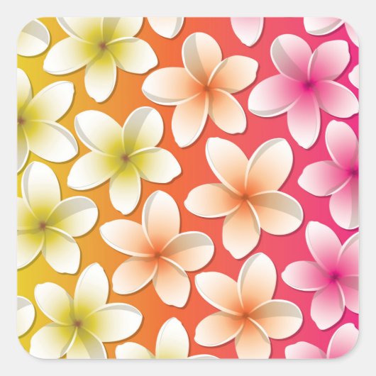 ブライトフランギパニ/プルメリア花 スクエアシール (正面)