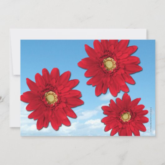 ブライトレッドゲルベラデイジーサマーブライダルシャワー 招待状 (裏面)