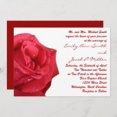 ブライトレッドローズ結婚式招待状 招待状 (正面/裏面)