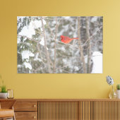 ブライトレッド（鳥）ショウジョウコウカンチョウ キャンバスプリント (インサイチュ (リビング))