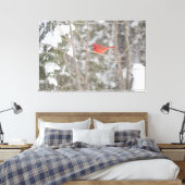 ブライトレッド（鳥）ショウジョウコウカンチョウ キャンバスプリント (インサイチュ (寝室))