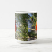 ブライトレッド（鳥）ショウジョウコウカンチョウ コーヒーマグカップ (中央)