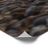 ブライトンウエストピア ポスター (角)