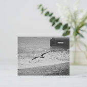 ブライトン ポストカード (スタンド正面)