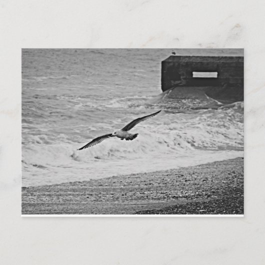 ブライトン ポストカード (正面)