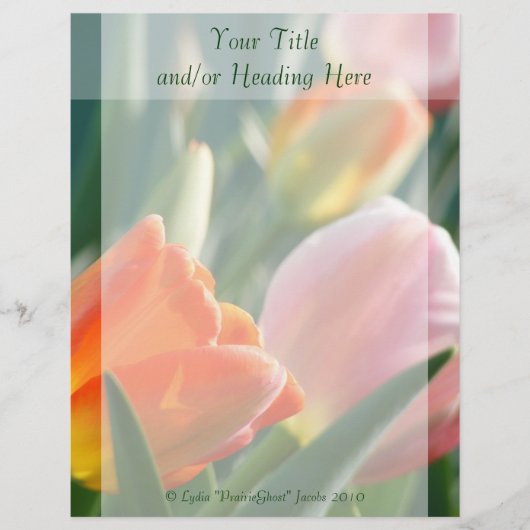 ブライト春チューリップレターヘッド レターヘッド (正面)