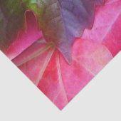 ブライト紅葉レッドグリーン金ゴールド 薄葉紙 (詳細)