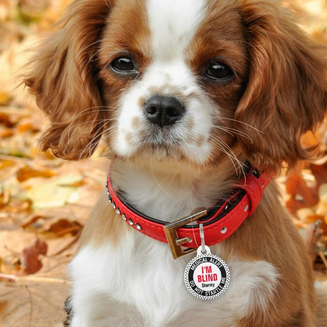 ブラインドペットメディカルアラート名前をカスタムするブラックレッド ペット　ネームタグ (クリエイターアップロード済み)